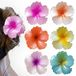 elzle 6 stuks bloemenhaarklemmen voor dames, Hawaï-haarspeld, kleurrijk, voor meisjes, dik en dun haar, antislip kunststof haarklemmen voor strandvakantie, dagelijks gebruik