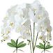 FagusHome 32 inch kunstmatige phalaenopsis-bloemen 4 stuks met 2 bundels bladeren kunstmatige orchideebloemen stengelplanten voor huisdecoratie (Wit)