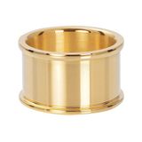 iXXXi Basisring R1801-01 Goud 12mm (16-21MM)