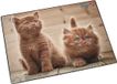 Läufer schrijfonderlegger Nieuwsgierige Katjes, 40 x 53 cm, Kunstleer/PVC, Bruin, Anti-slip