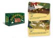 Forest Rockpool Mini Cards- Forest Friends