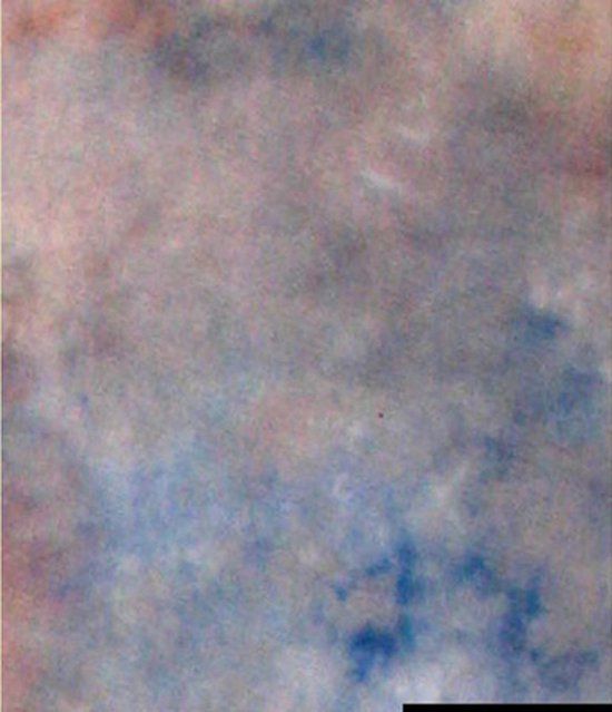 Falcon Eyes Achtergronddoek S122 - 2,9x7 m - Zwart