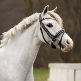 QHP Hoofdstel Bixie Zwart-Zilver - Pony