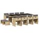 vidaXL 13-delige Tuinset met Kussens, Poly Rattan, Gemengd Beige