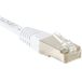 Budget Netwerkkabel RJ45 CAT 6 F/UTP wit 0.5 m