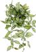 Merkloos Hangende Kunstplant - Decoratieve Slinger - Groen