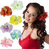 Boland Hawaii bloem haarclip