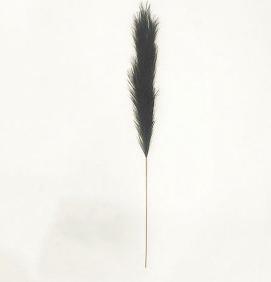 Buitengewoon Boet Buitengewoon de Boet Pampas gras 130 cm Zwart kunstplant
