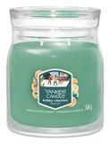 Yankee Candle Holiday Winterfest Medium Jar Geurkaars - Groen - Rond - Glas - 1 stuk(s)