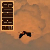 news Blanka - Birds (LP)