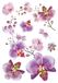 AG Design SM 3440 orchidee, muurstickers, kleurrijk, 42,5 x 65 cm