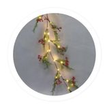 Brightium 1,5 m lange led-lichtketting met rode takken en bessen, werkt op batterijen, ideaal voor feestelijke decoraties en gezellige sfeer.