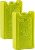 Plasticforte Koelelementen - 4x stuks - 250 grams - 13 x 7.5 cm - groen - kunststof