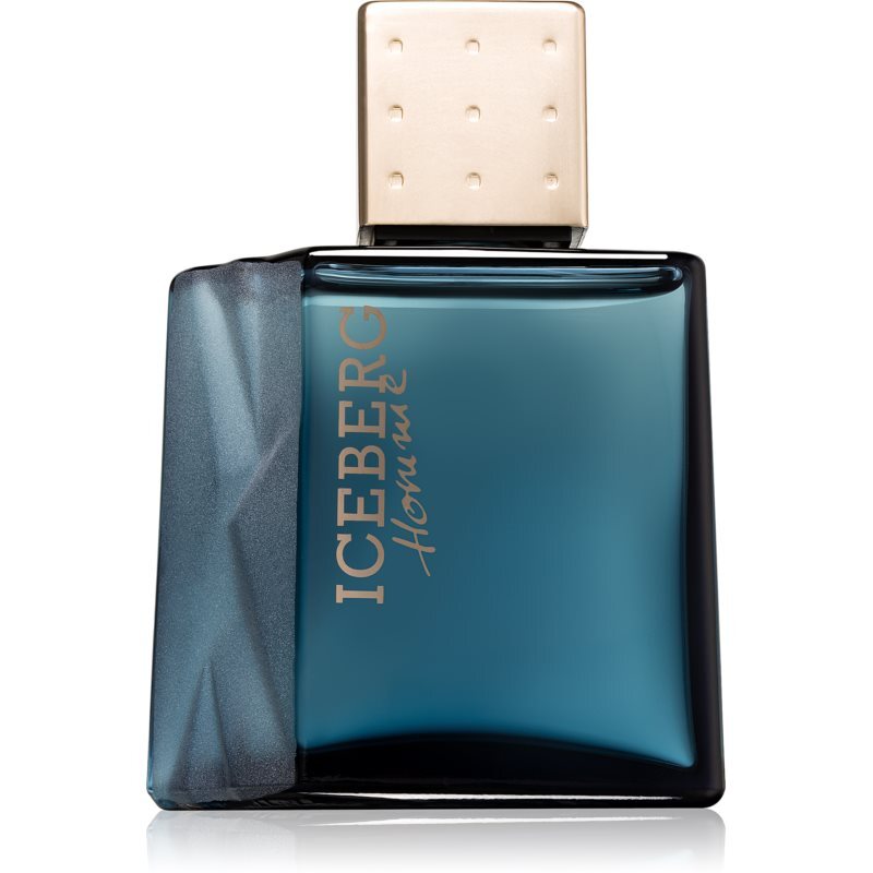 Iceberg Homme eau de toilette / heren