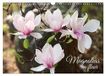 Magnolias Calvendo Magnolias en fleur (Calendrier mural 2027 DIN A3 vertical), CALVENDO calendrier mensuel