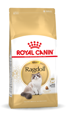 Royal Canin Breed Ragdoll Adult - 2 kg