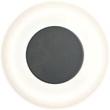 Paulmann LED-wandarmatuur voor buiten Circea IP44 220mm 3000K 4W 90lm 230V Antraciet Aluminium