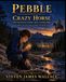 Crazy Horse: The Steadfast Spirit That Guided Him