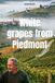 White grapes from Piedmont