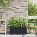 Maison Exclusive - Pot de plante de jardin, 2 pièces, noir, 80 x 40 x 37,5 cm, plastique PP