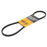 EILRIPPENRIEMEN Continental Contitech 3PK885 ELAST V-riem