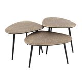 Zaloni Bol Salontafel set 3 driehoekig metallic goud met zwart