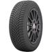 Toyo Observe EWS1 225/65 R17 106H