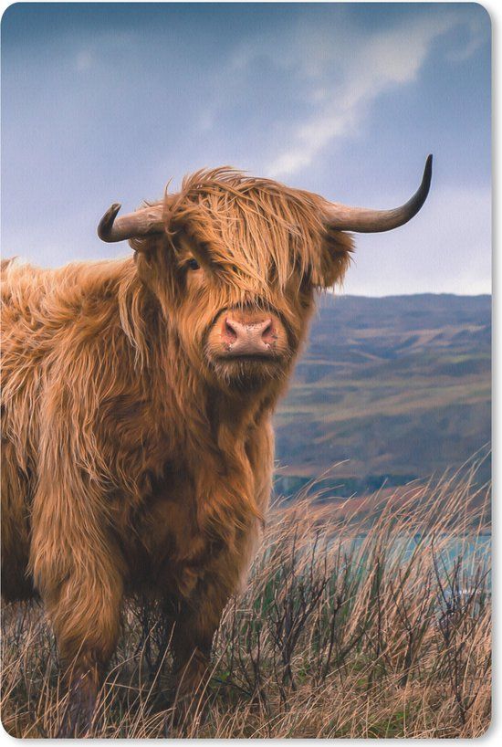 MousePadParadise Mousepad - Schotse Hooglander - 18x27 cm