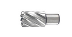 Hikoki Accessoires Kernboor 49X30 mm - 754440