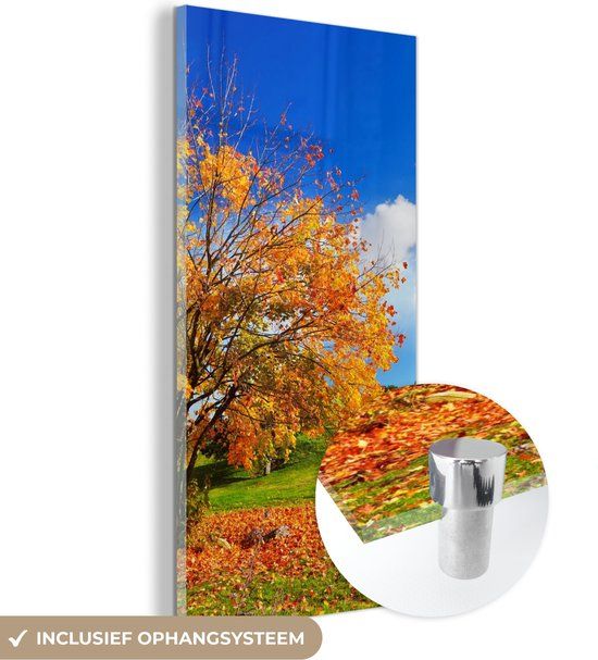 MuchoWow® Glass Painting 60x120 cm - Acrylic Glass Painting - Tree - Leaves - Autumn - Seasons - Photo on Glass - Paintings