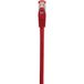 Renkforce RF-5176540 Netwerkkabel Rood 0,5 m Cat6 S/FTP
