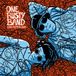 Sonic Rendezvous One Rusty Band - Line After Line (LP)