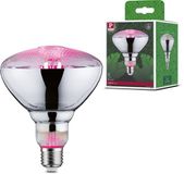 Paulmann Grow Green LED PAR38 Groeilicht - 6.5W - E27 - Rood Licht