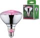 Paulmann Grow Green LED PAR38 Groeilicht - 6.5W - E27 - Rood Licht
