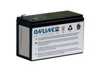 ONLINE USV-Systeme BCZ1000 UPS-accu