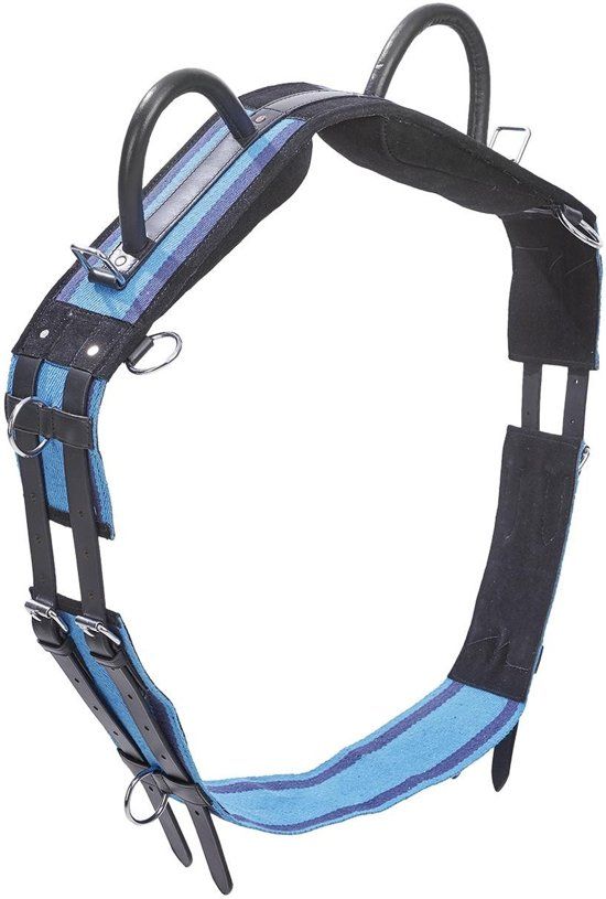 Busse Voltigesingel met Twee Handgrepen navy-sky blue
