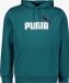 Puma Essentials Big Logo Herren Hoodie Grün - Größe S