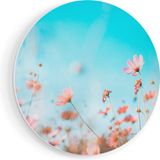 Artaza Forex Muurcirkel Paarse Kosmos Bloemen - 50x50 cm - Wandcirkel