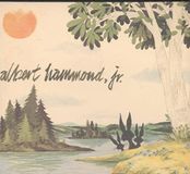 Albert Hammond Jr - Yours To Keep