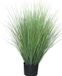 Merkloos King Kunstbloem Festuca Groen in Pot 76 cm