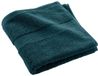douceur d'intérieur Handdoek 50 x 90 cm Katoen Blauw