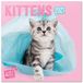 Officiële Studio Pets Officiële Studio Pets Kittens 2021 wandkalender 30 x 30 cm (16 maanden) gezinsplanner kalender 2021