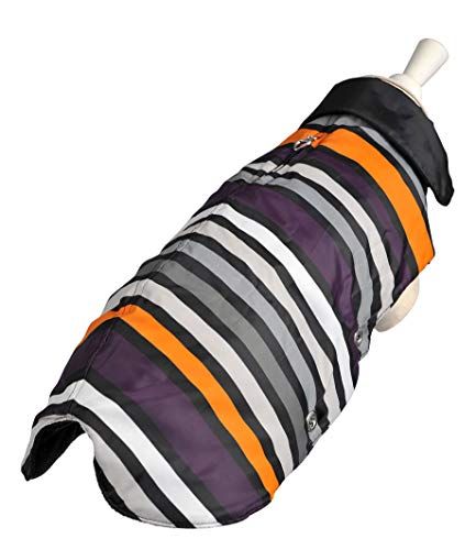 Wouapy Hondenjas "So Smart" - Maat 26