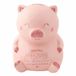 Mr Wonderful All Beauty Spaarpot Roze