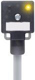 Escha VA22-24.3-5/P01 8047821 Zwart