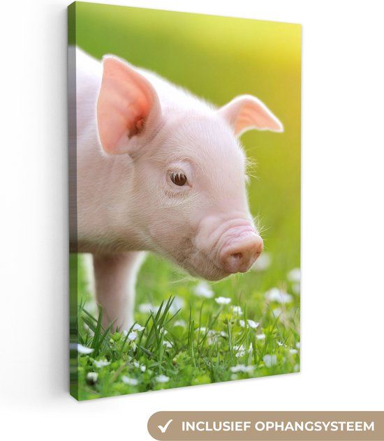 OneMillionCanvasses Canvas schilderij 120x180 cm - Biggetje - Varken - Multicolor - Rechthoek