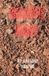 Grave Dirt Paperback 144 Pages Harlinn Draper Independently Published 9798171288594