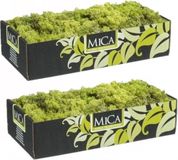 Mica Decorations Rendiermos - 3x pakjes - 500 gram - lichtgroen - hobby mos - decoratie materialen