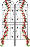 Relaxdays Plantenklimrek Set van 2 - 180 x 50 cm - Metaal - Zwart
