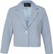 s.Oliver BLACK LABEL s.Oliver Indoor-Blazer Vrouwen Lichtblauw Regular Fit
